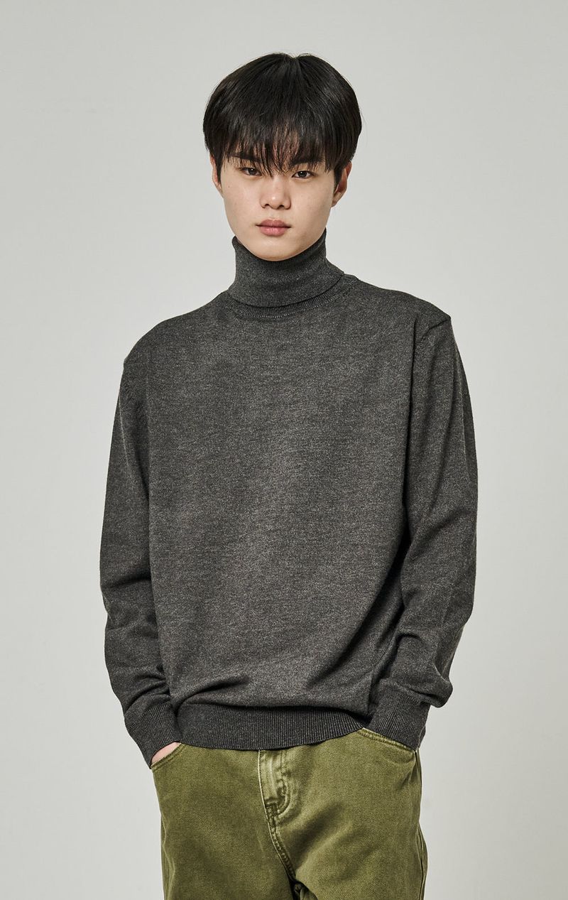 BASIC POLA NECK KNIT