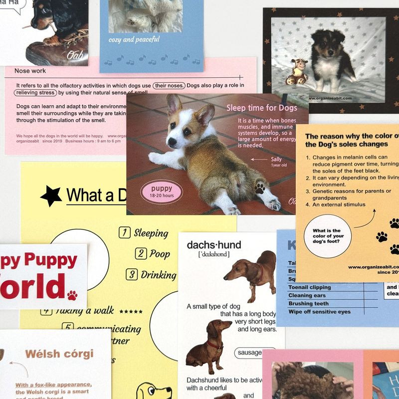 oab puppy pack / scrap sticker set
