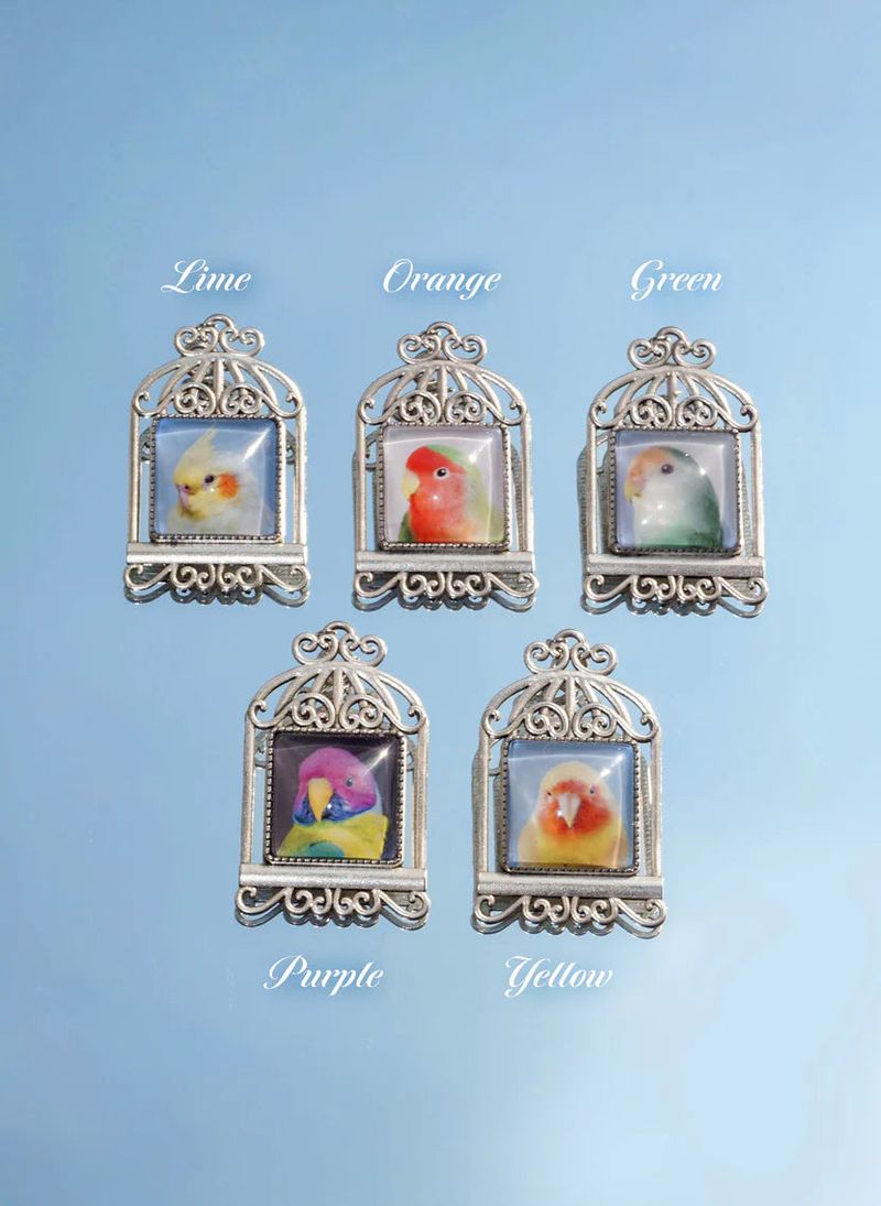 BIRDCAGE BROOCH (5 COLORS)