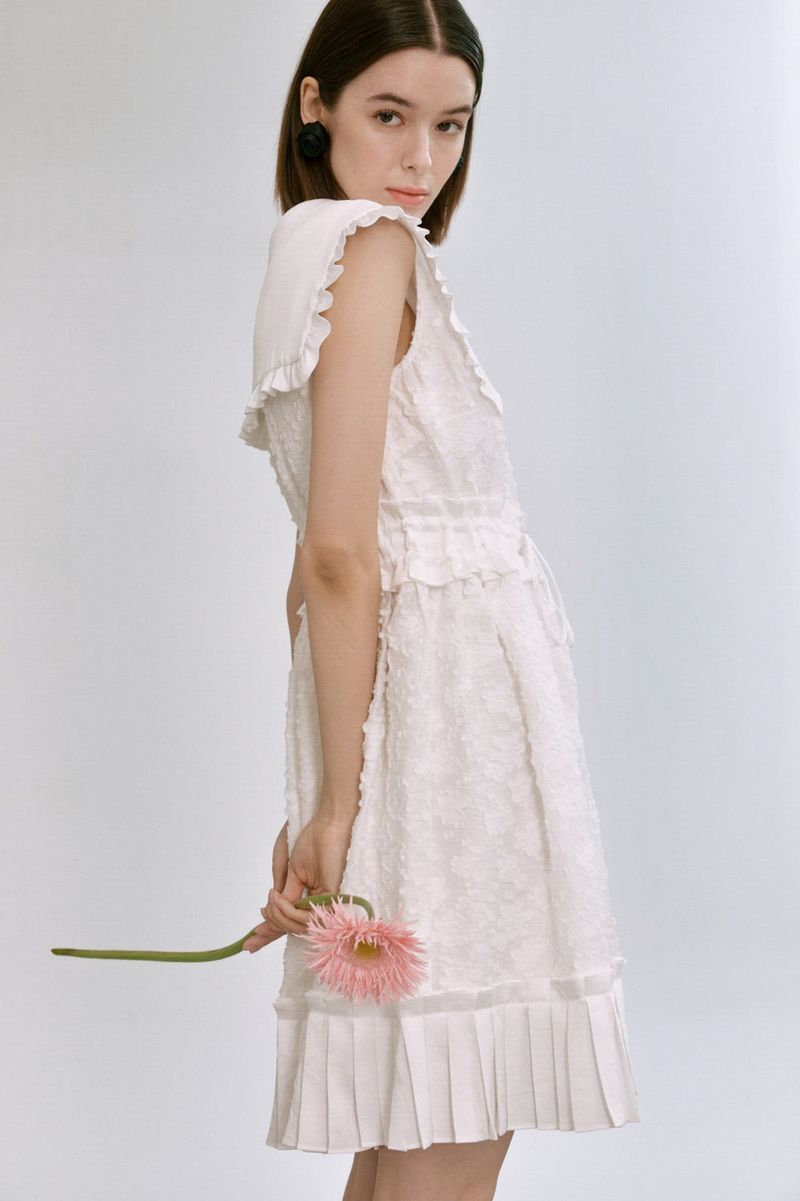 Big collar dress