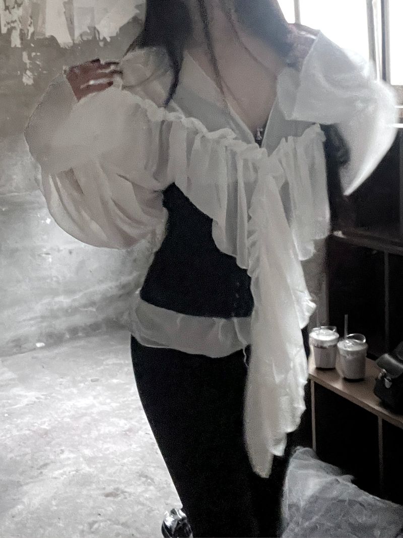 chiffon ruffle v-neck sheer blouse (2color)