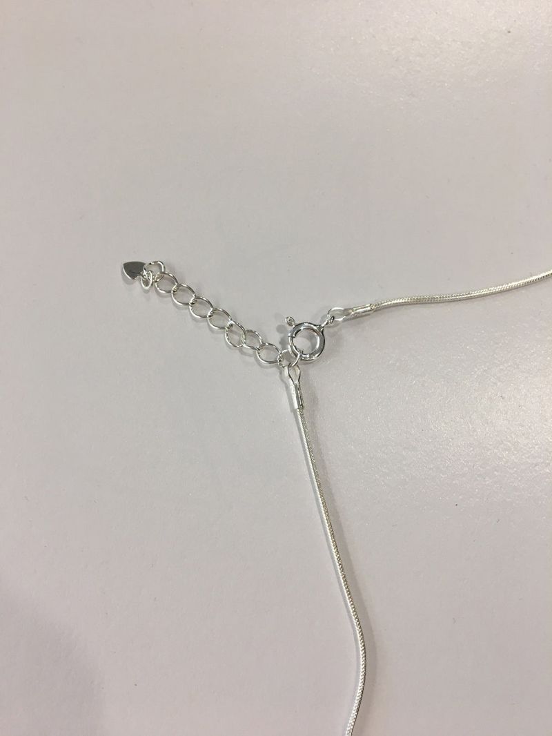 Classic Line Necklace (1color)