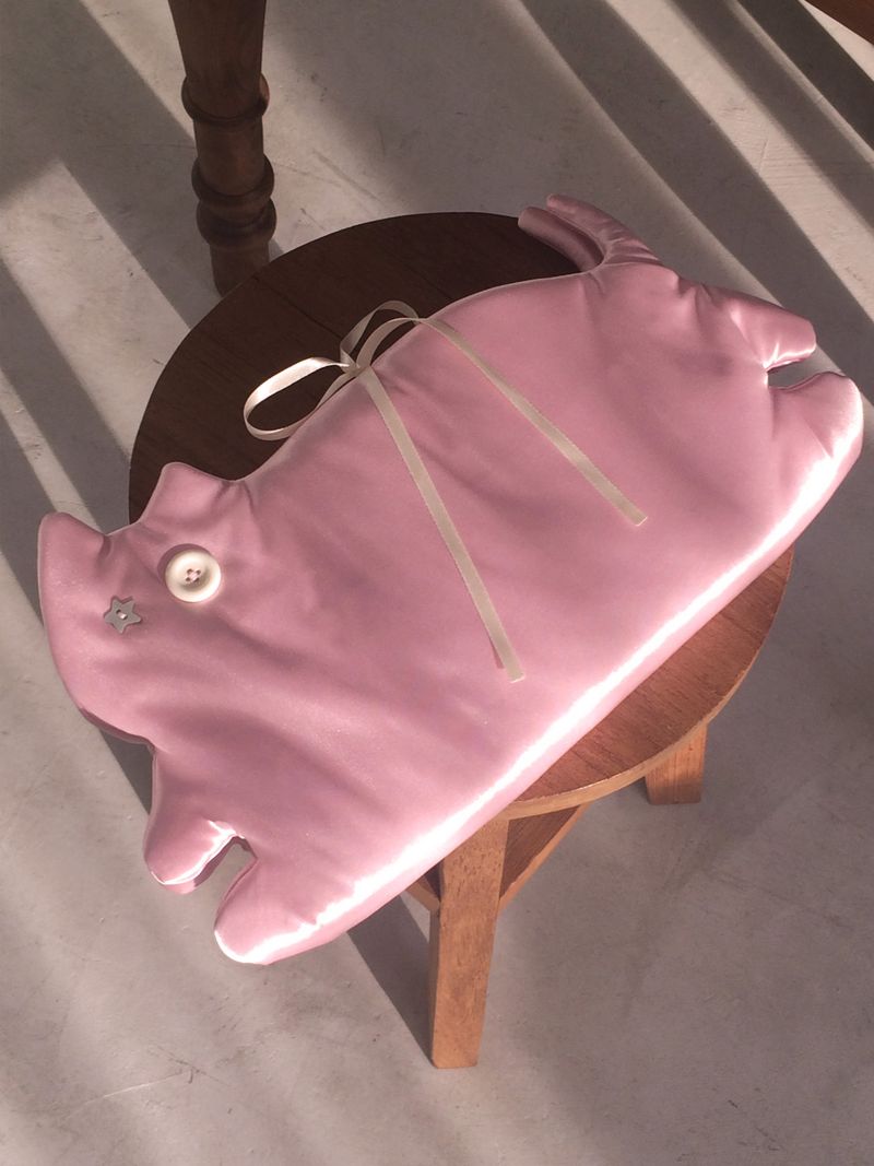 Cat book cover _ strawberry