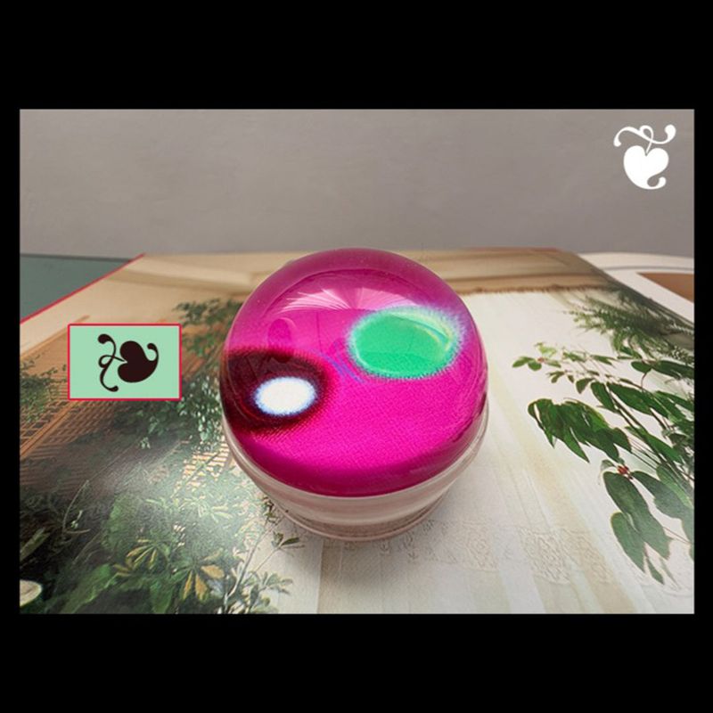 hasroom(hasroom)の「mongshi griptok(Smartphone Accessories)」