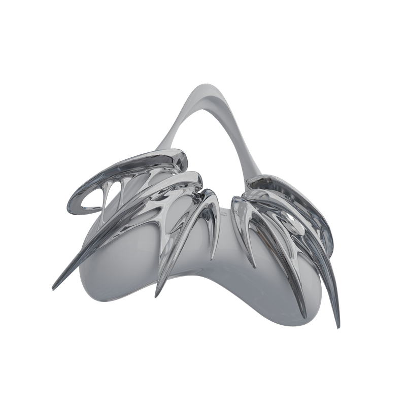 Claw HandBag (Mirror)