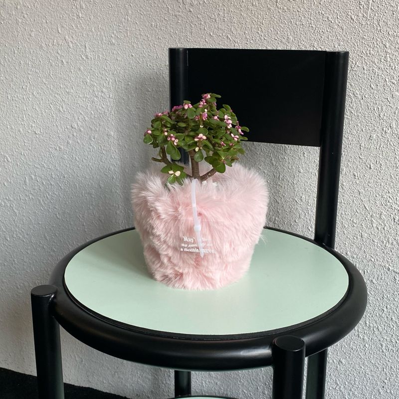 FLUFFY POT (M