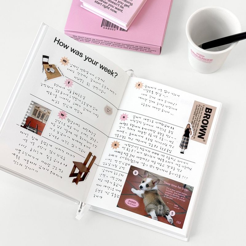 oab ask diary / hard cover