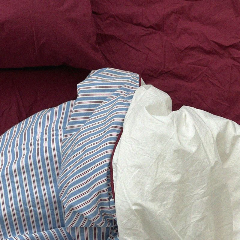 Wine color 60 pure cotton bio-washing mattress cover (SS/110x200x30cm)