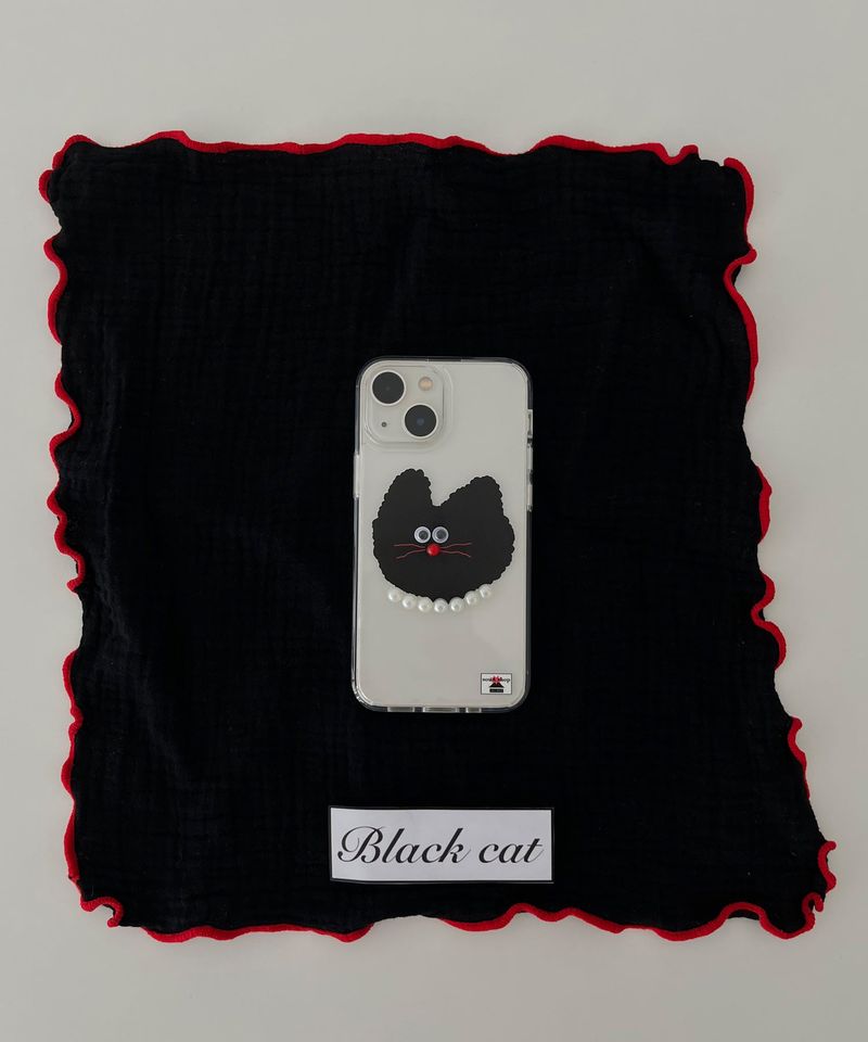 black cat case