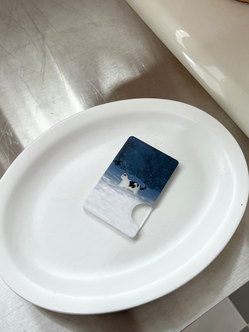[cobalt kitty magsafe cardslot]