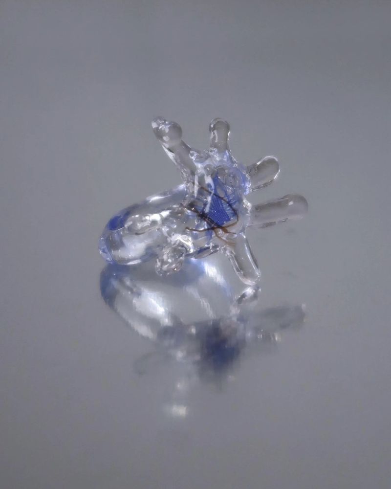 Saarom（サーロム）の「[jimoon] ドロップリング 03（アクセサリー）」