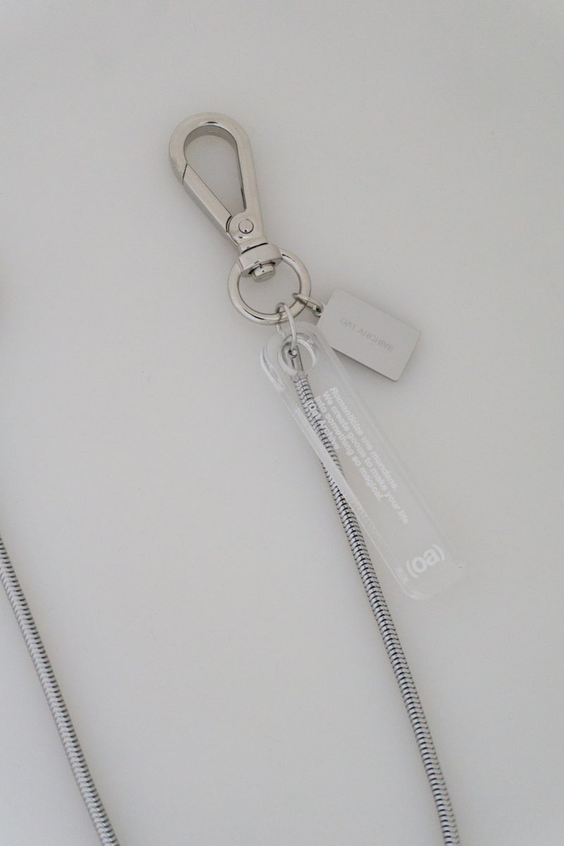 Serpent chain keyring