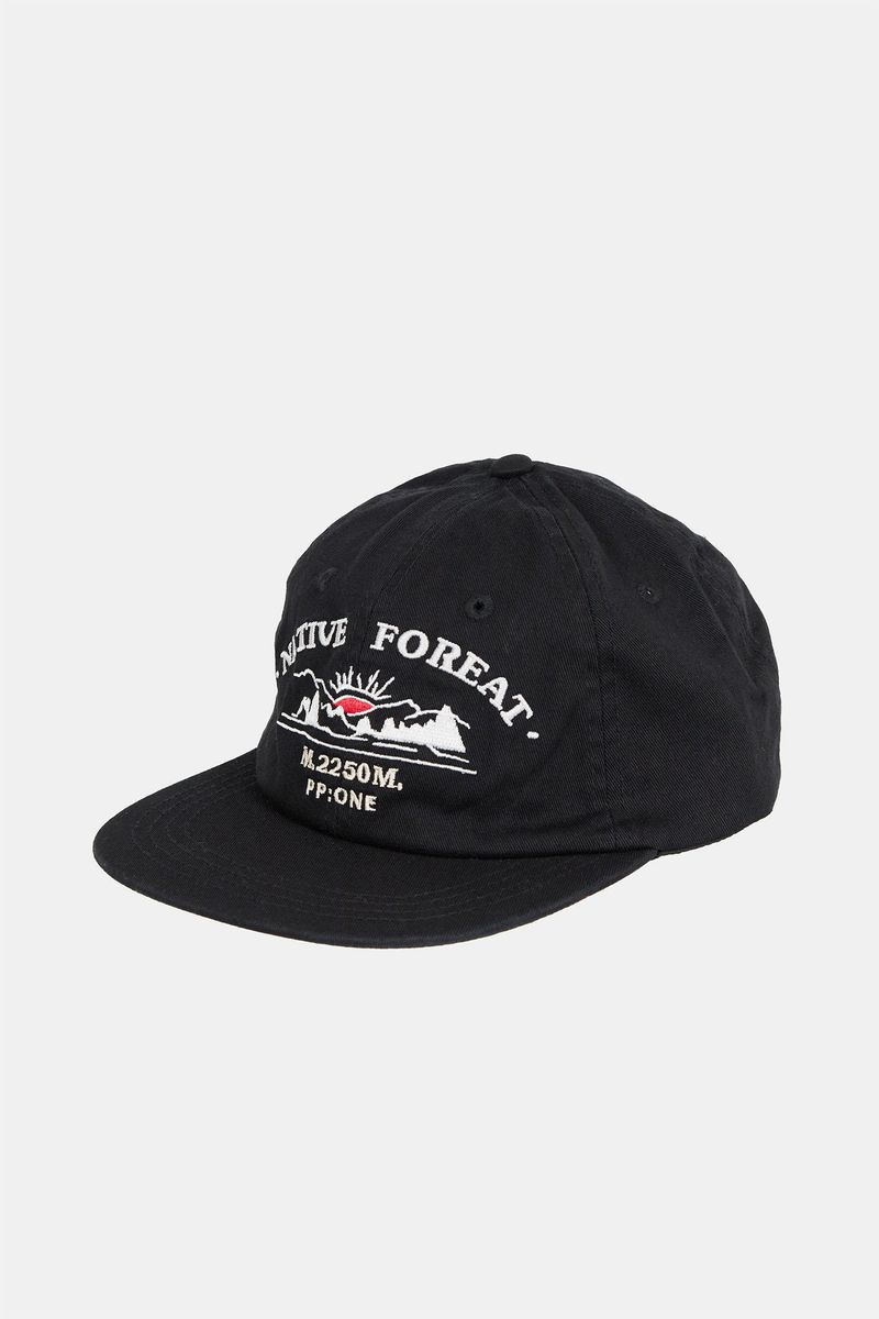 Native embroidery ball cap