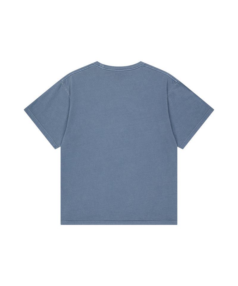 PIGMENT FOSSIL TEE