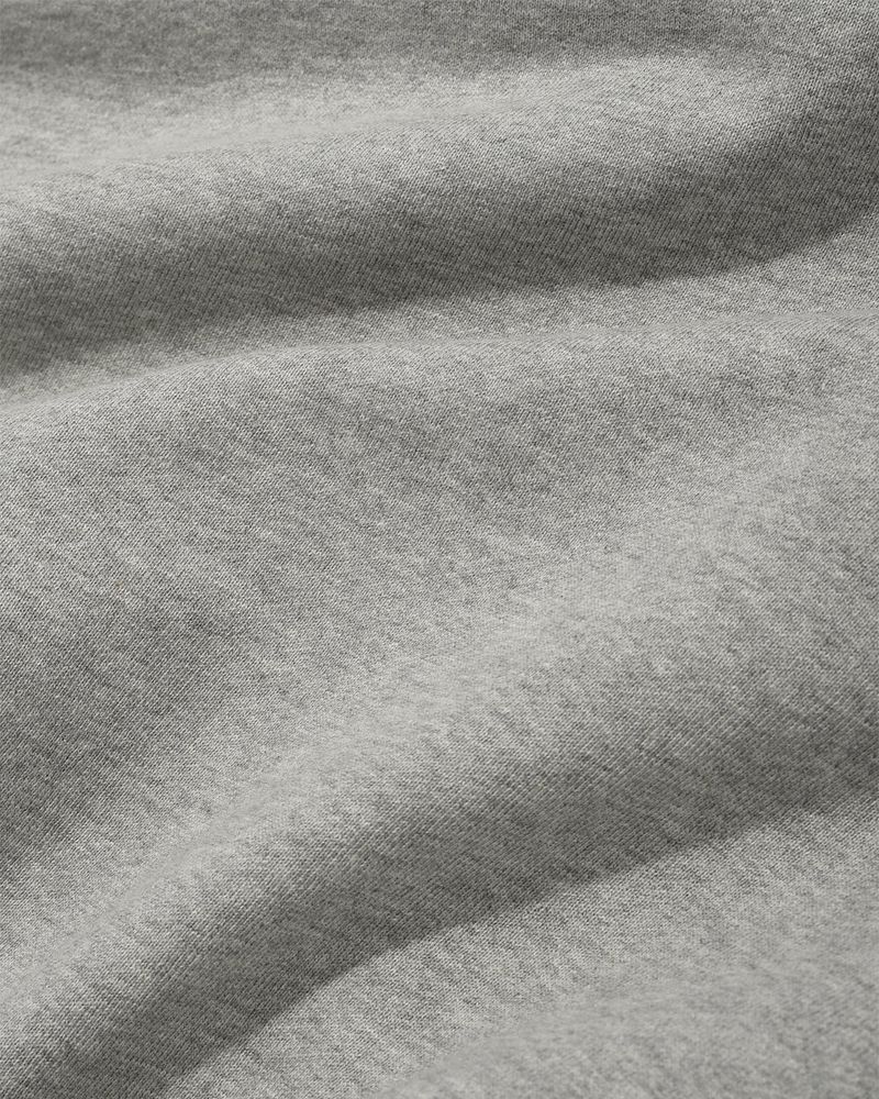 Salvation Lion Sweatshirt/Melange Grey