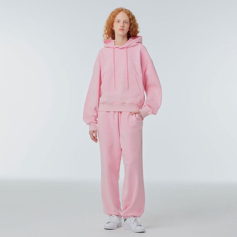 Pigeudaing standard hooded sweatshirt