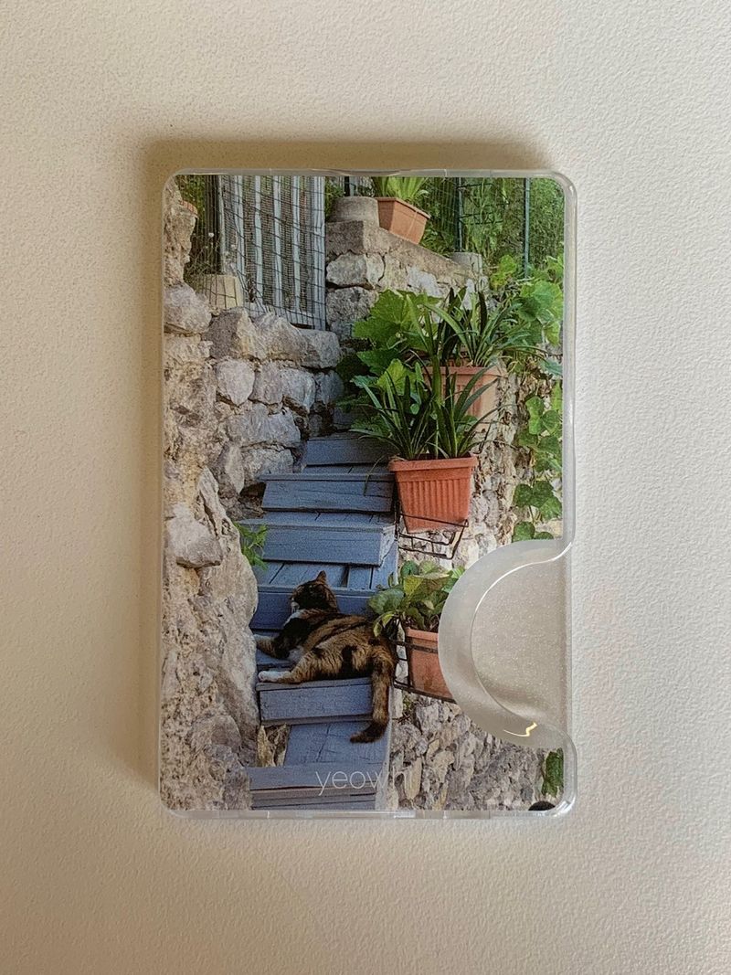 [Magsafe] cat on the steps in Europe cardslot case