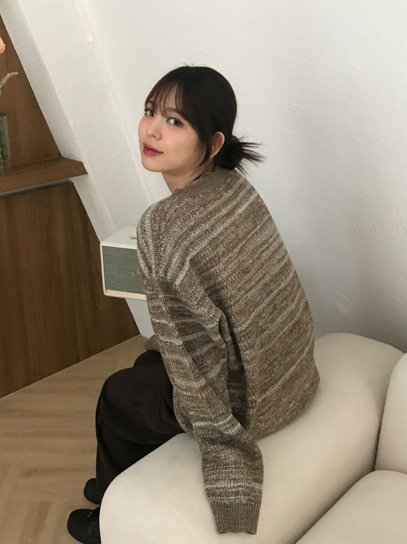 エリカストライプVネックニット