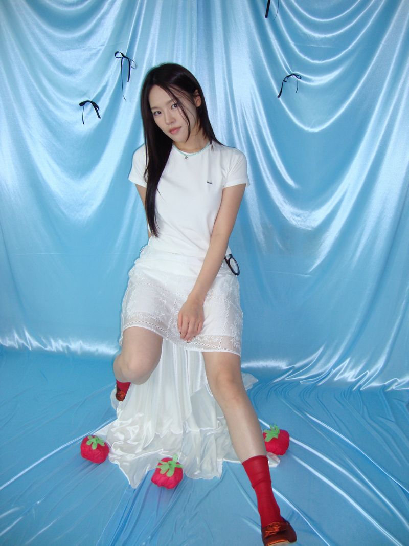 embroidery skirt