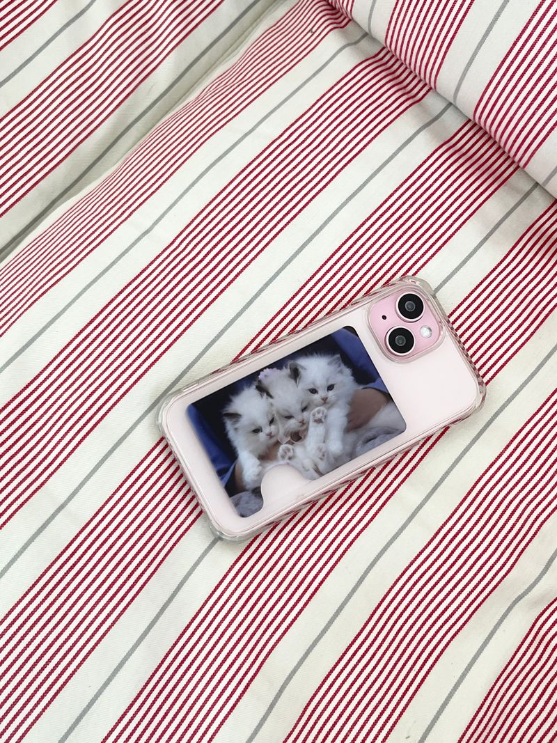 [three kitty sisters magsafe cardslot]