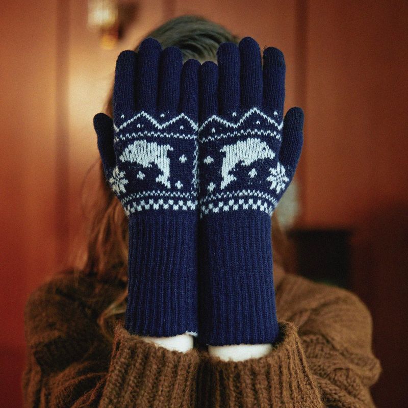 Dolphin nordic knit gloves
