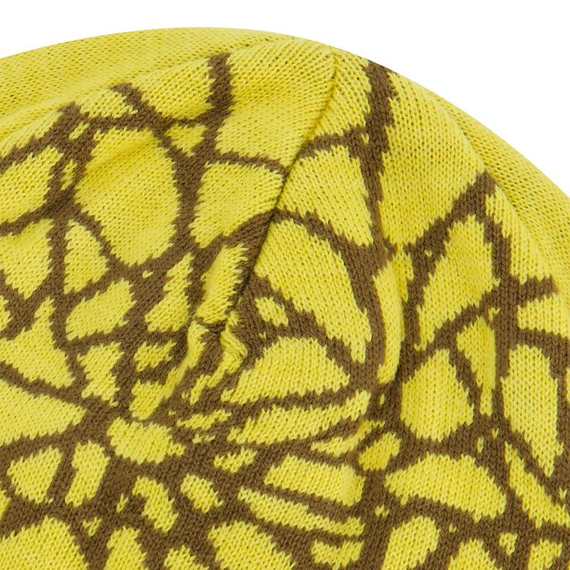 SPIDER WEB SHORT BEANIE