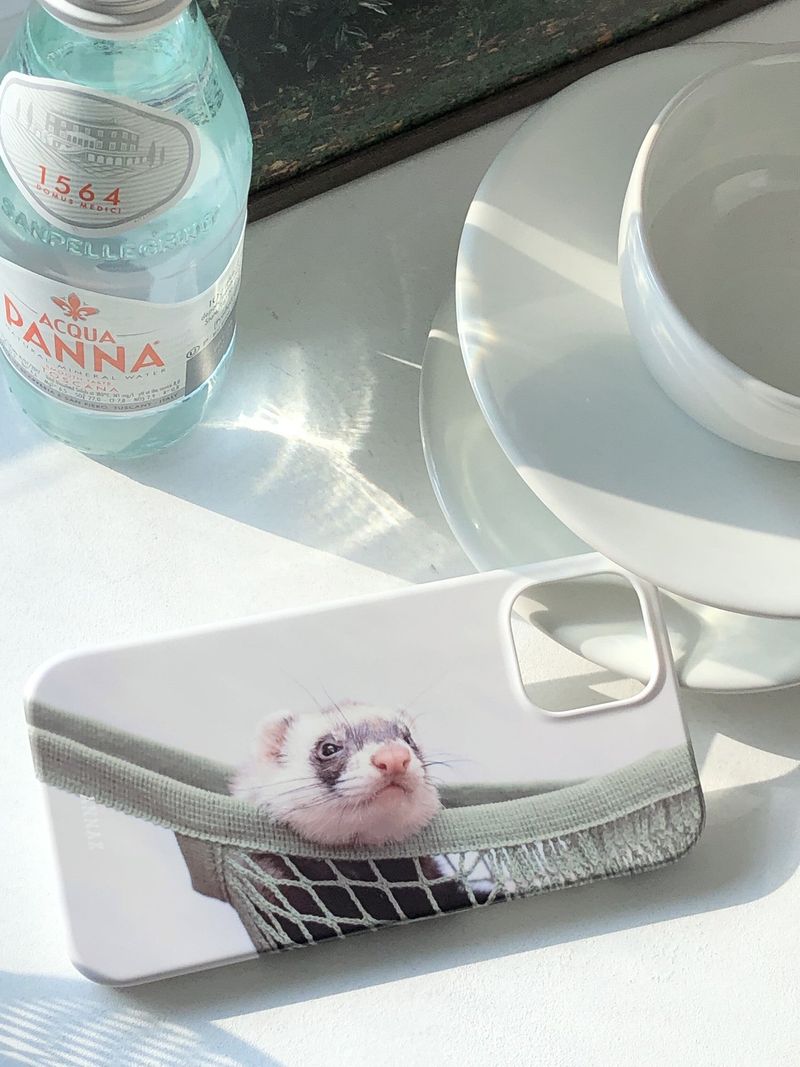 [my fluffy ferret in hammock hard case]