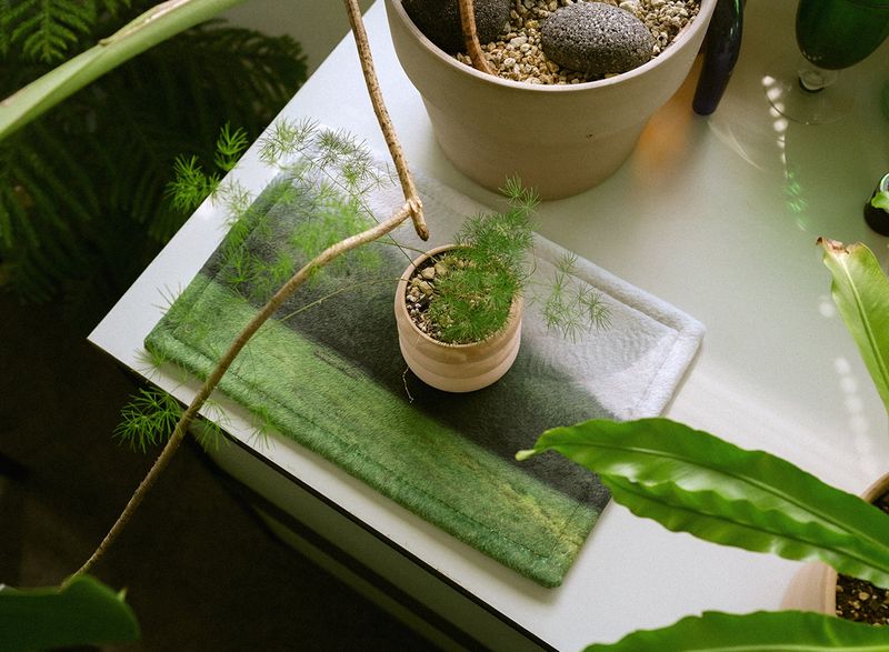 SLEEPTIGHT OBJECT（スリープタイトオブジェクト）の「JEJU desk rug - misty forest（Interior）」