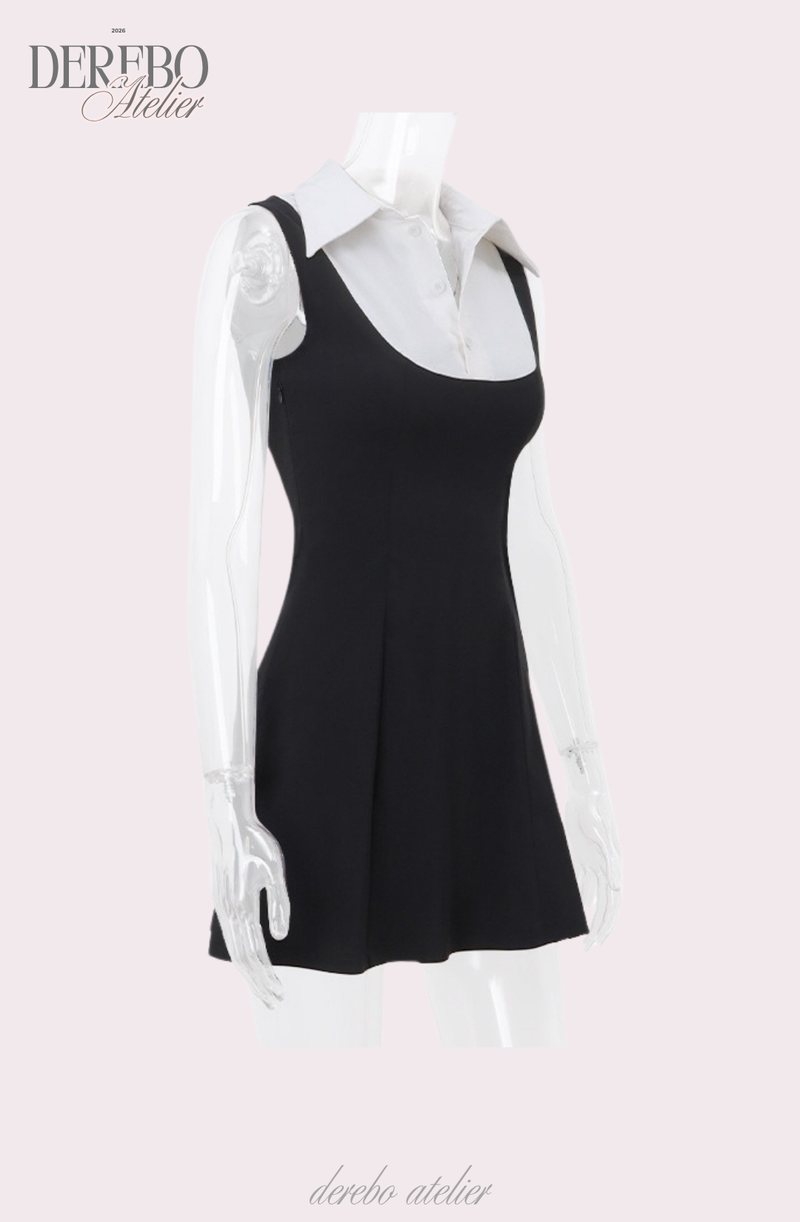 Seri collar sleeveless flare dress