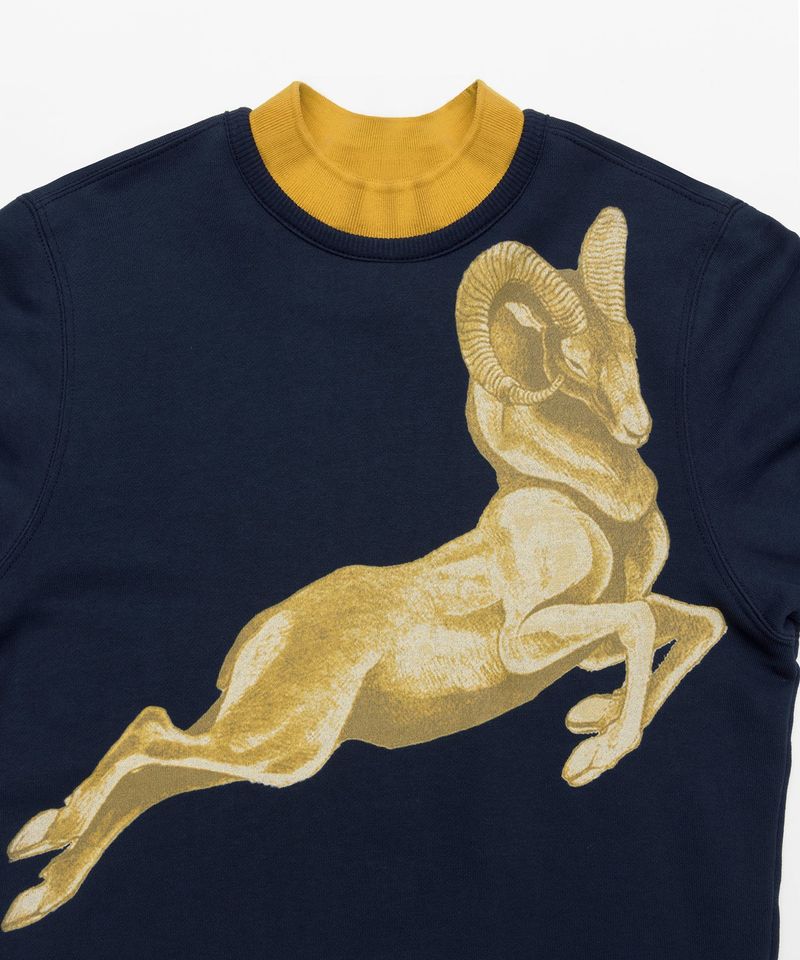 Double Rib Sweatshirt - Dall Sheep _ NAVY