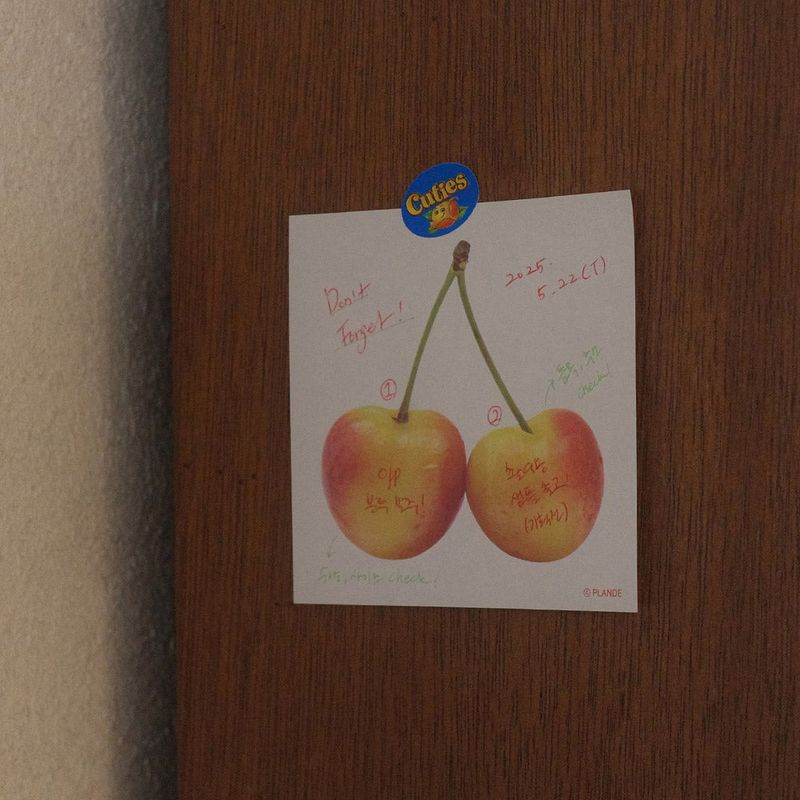 objet memo vol.6-fruit SET