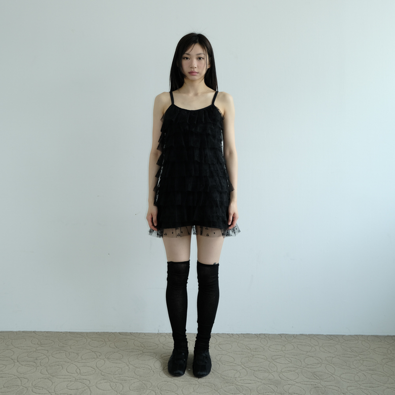 SHAKIRI(シャキリ)の「SHA EMBROIDERY CANCAN DRESS _BLACK(Dresses)」