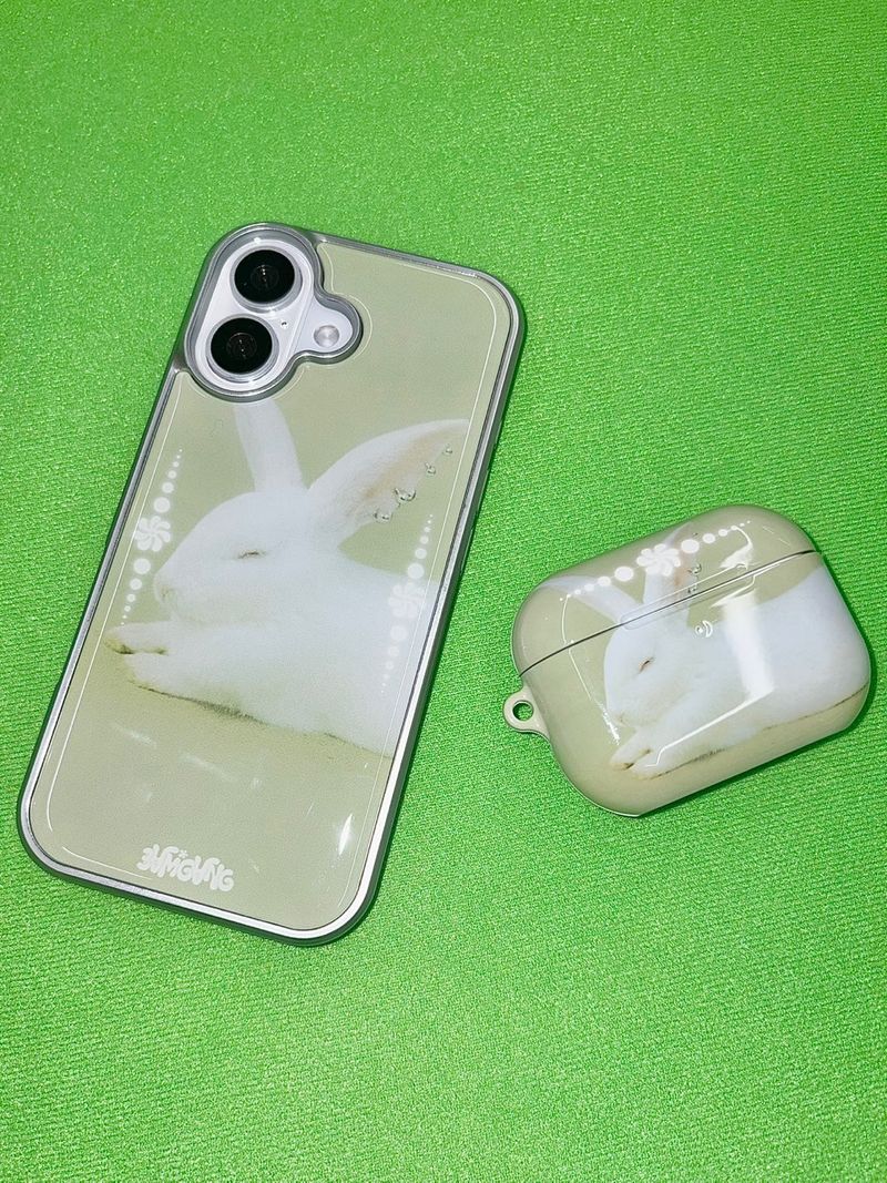 Furry Friends airpods case_Rabbit