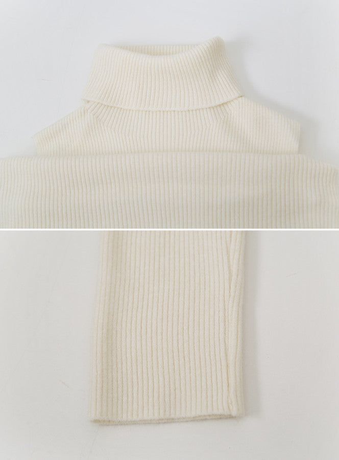 #Turtle Neck & Off Shoulder Layered Rib Knit (3color)
