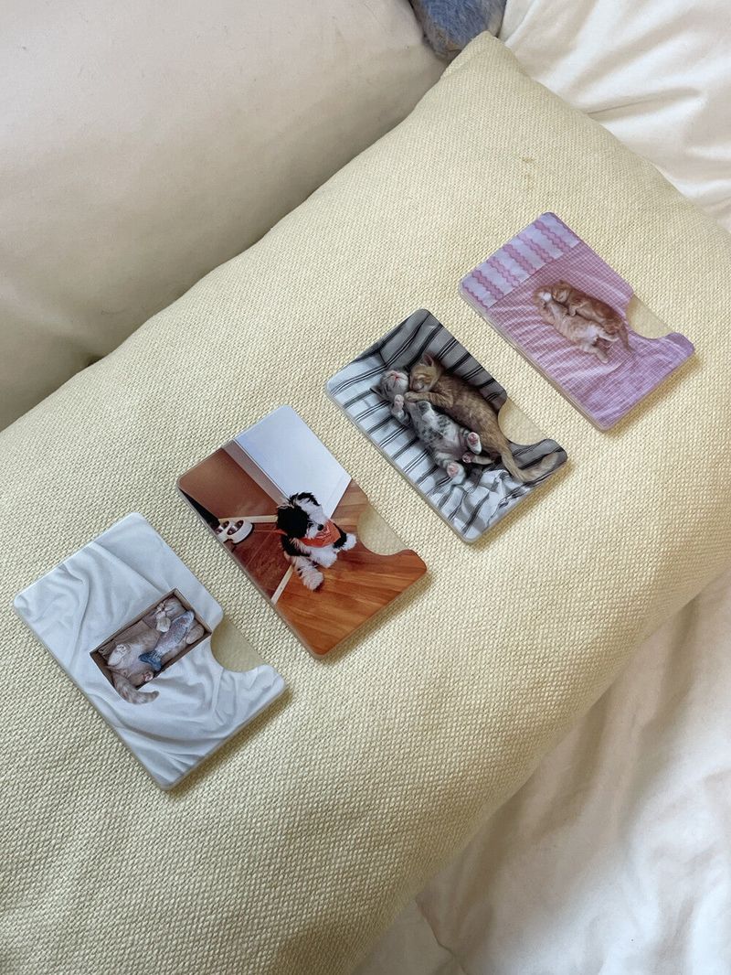 [snuggly buddies stripe magsafe cardslot]