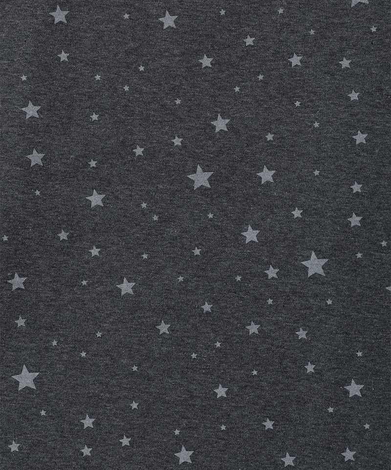 STRIPED STAR RAGLAN LS TEE PURPLE(CV2GFFT561A)