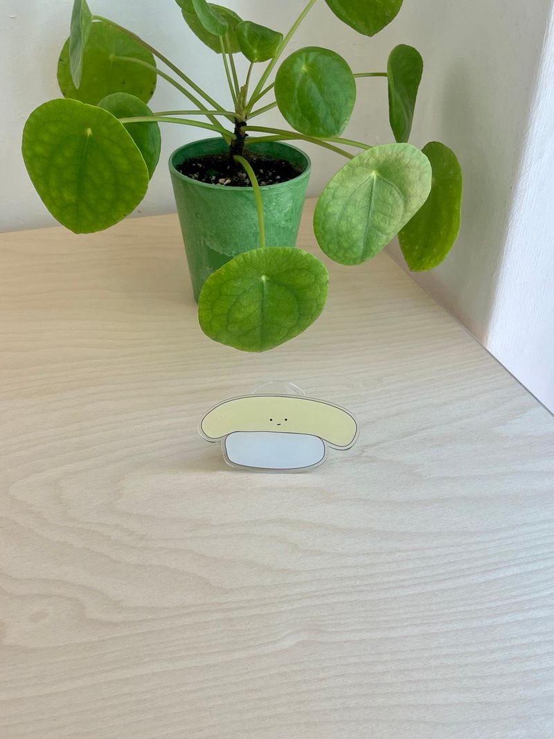 yeowhi（ヨウィ）の「[Magsafe tok] yeowhi エッグスシグリップスマートトック（スマホグッズ/小物）」