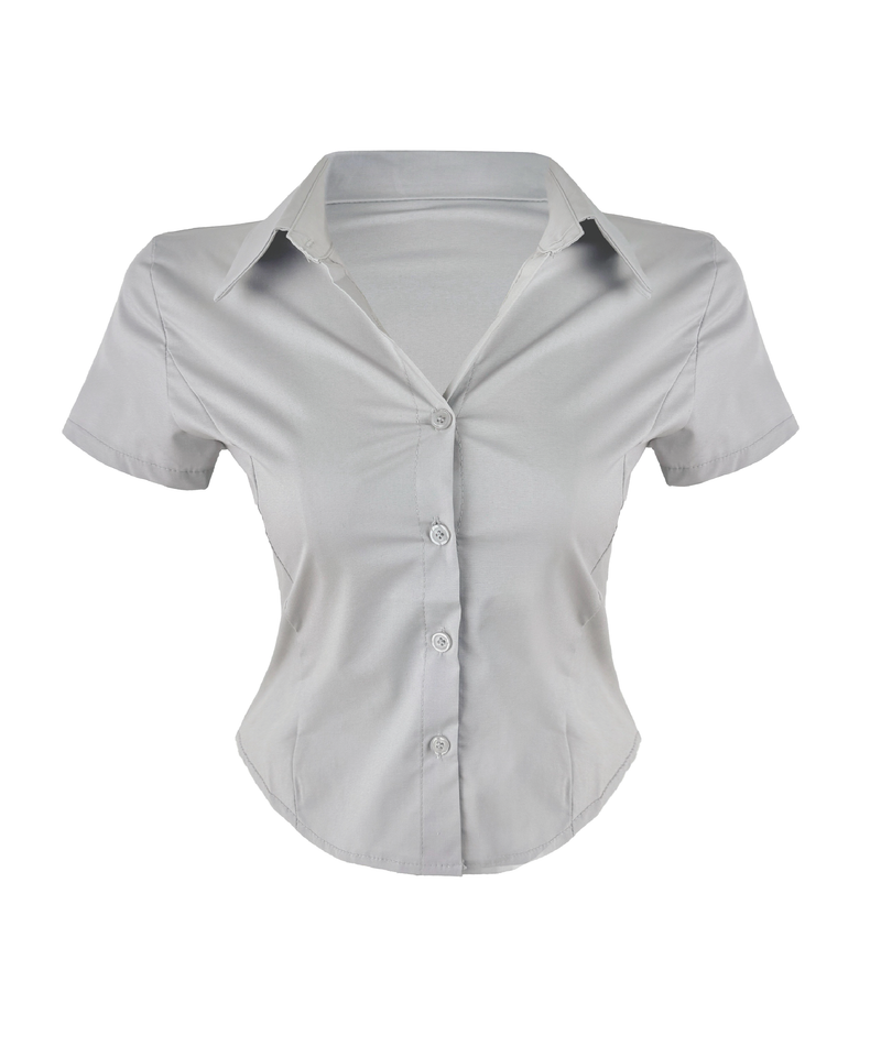Classic Basic Slim Shirt (3color)