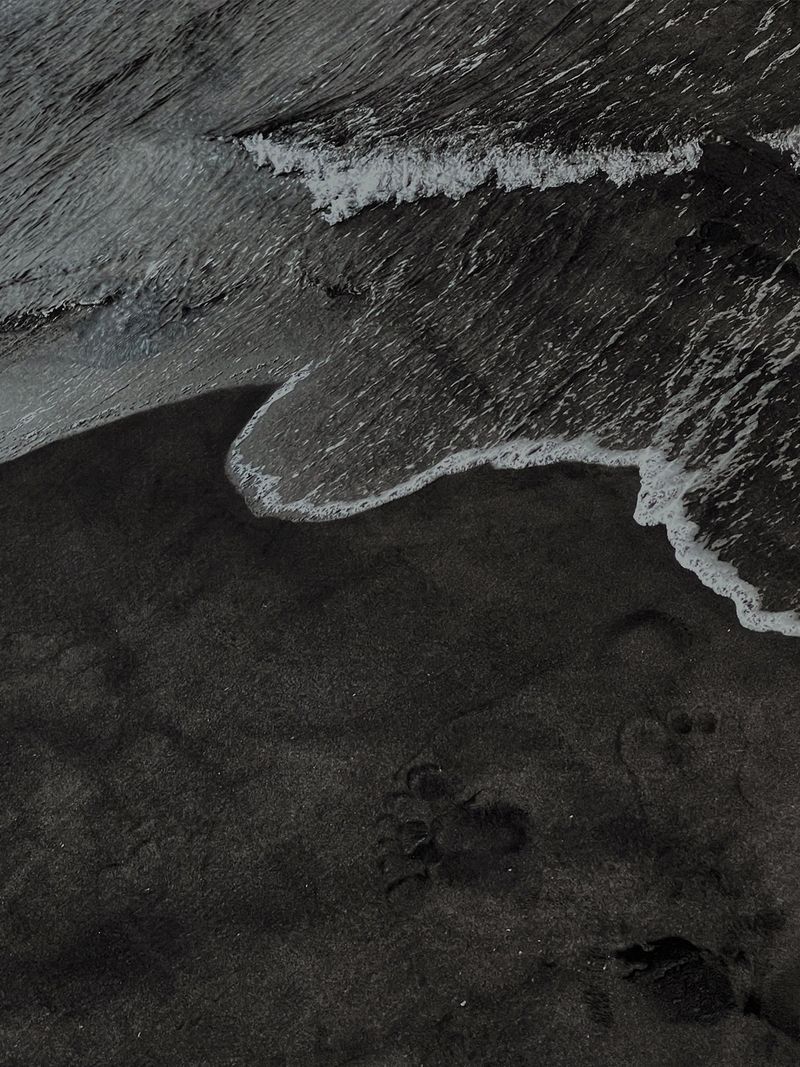 mono seaside rug - M