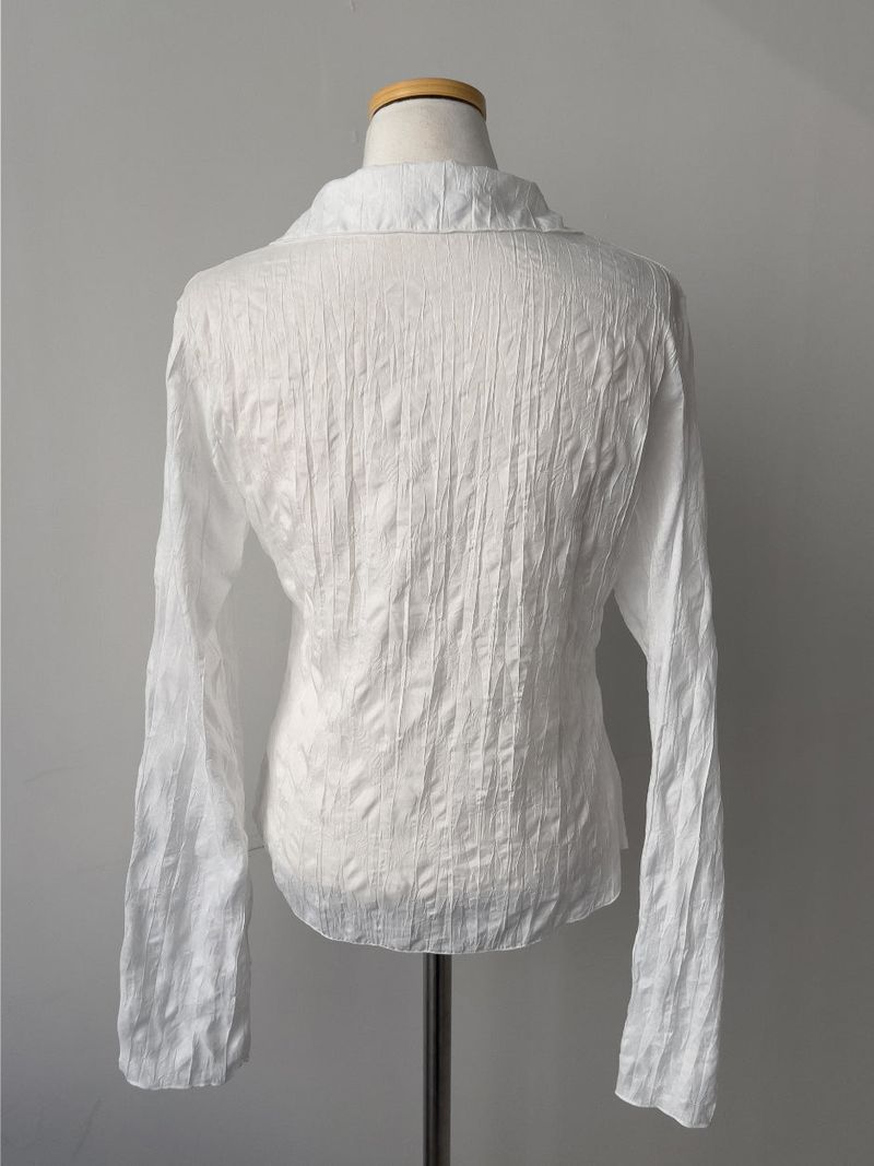 Shining Wrinkle Collar Blouse