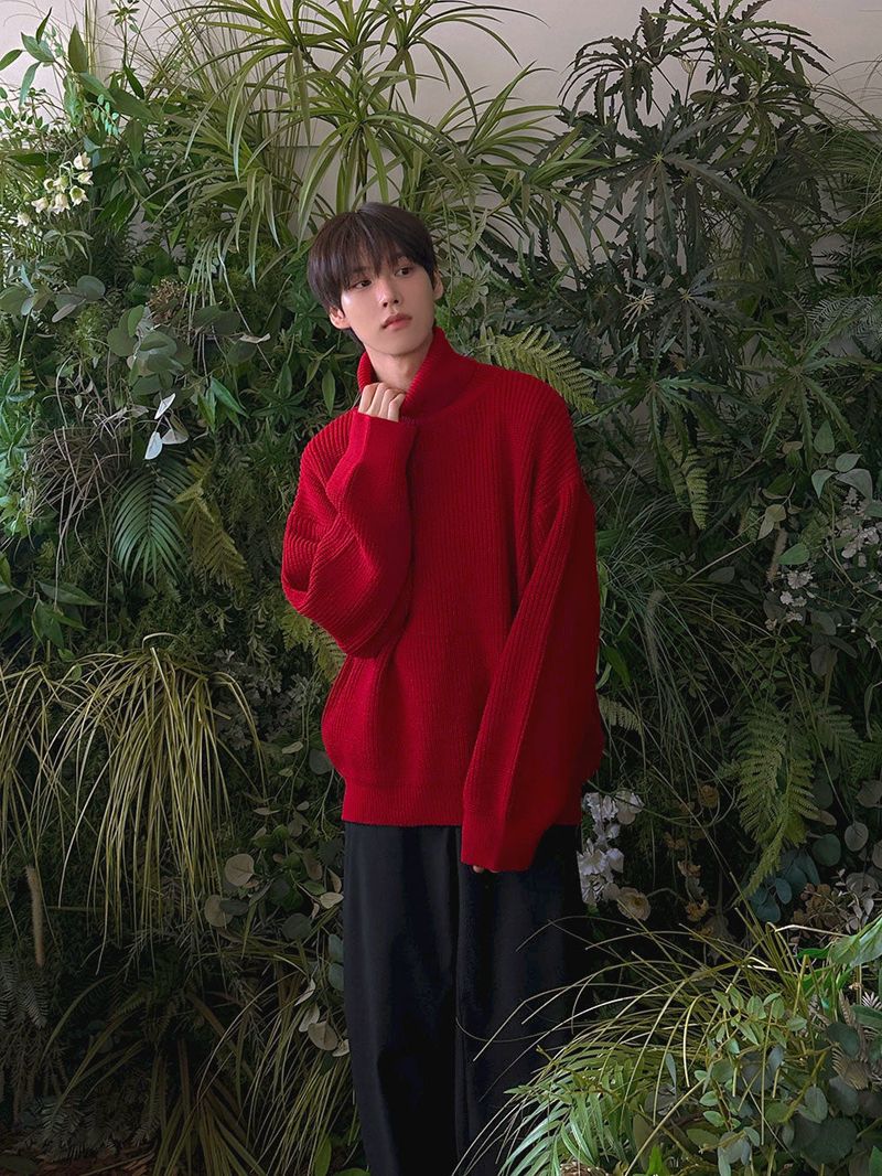 ASCLO(エジュクロ)の「ASCLO Dell Turtle Neck Arm Warmer Knit (6color)(Tops)」