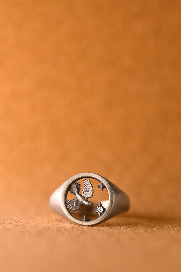 Veritas Lux Mea Ring