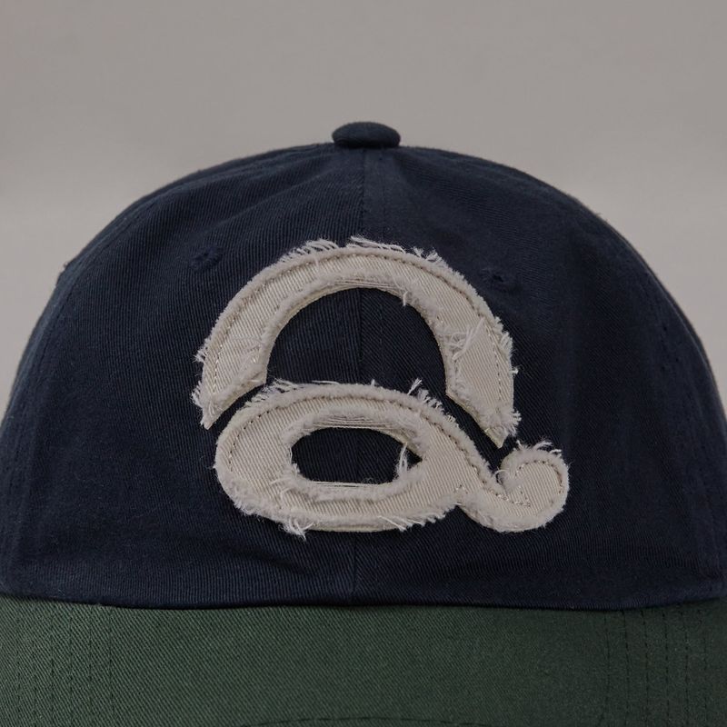 Washed Logo Ball Cap (Navy/Green)
