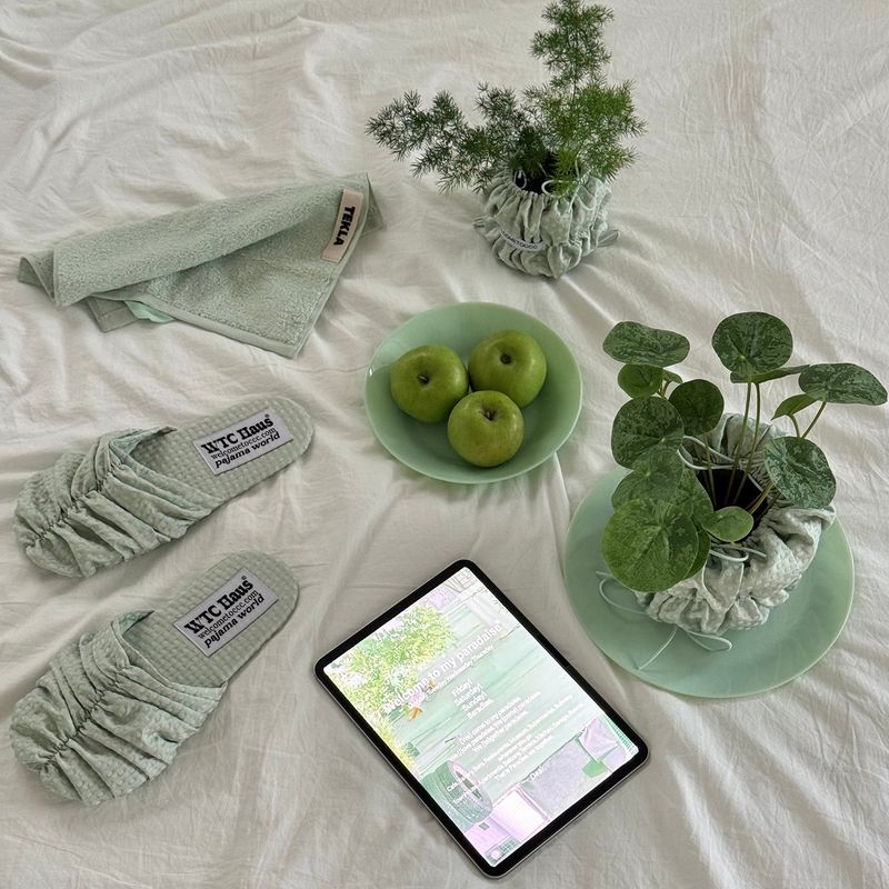 Croa Shoes (Dotty Mint) Room Shoes