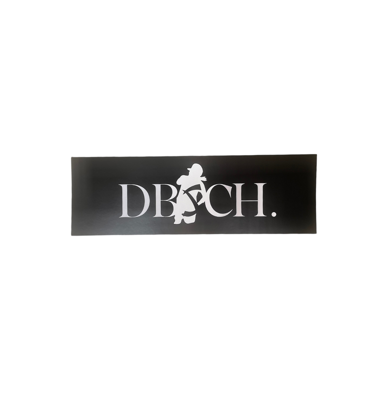 DBSCH. Box Logo Sticker