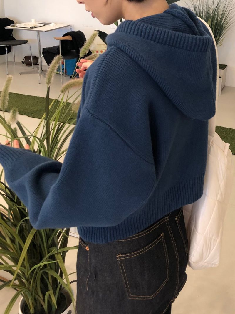 Chewy sweater hood zip up