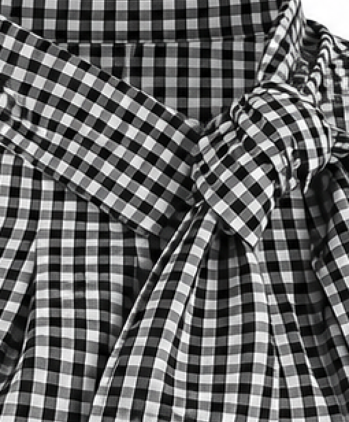 Noelle Gingham Scarf Blouse