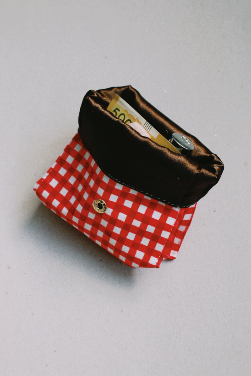 Gingham Mini Pouch - Red