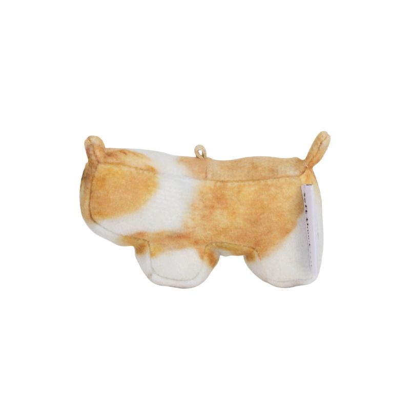 Moongchi, Welsh Corgi