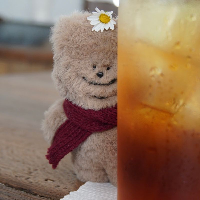 tuteogi brown doll keyring burgundy muffler
